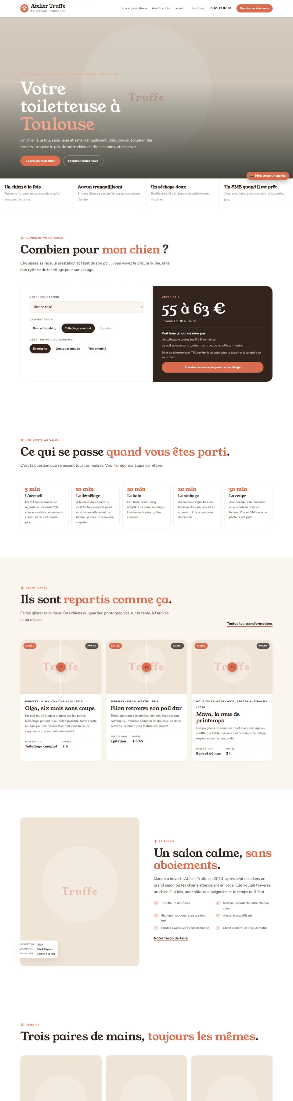 Page d'accueil complète du modèle toiletteur