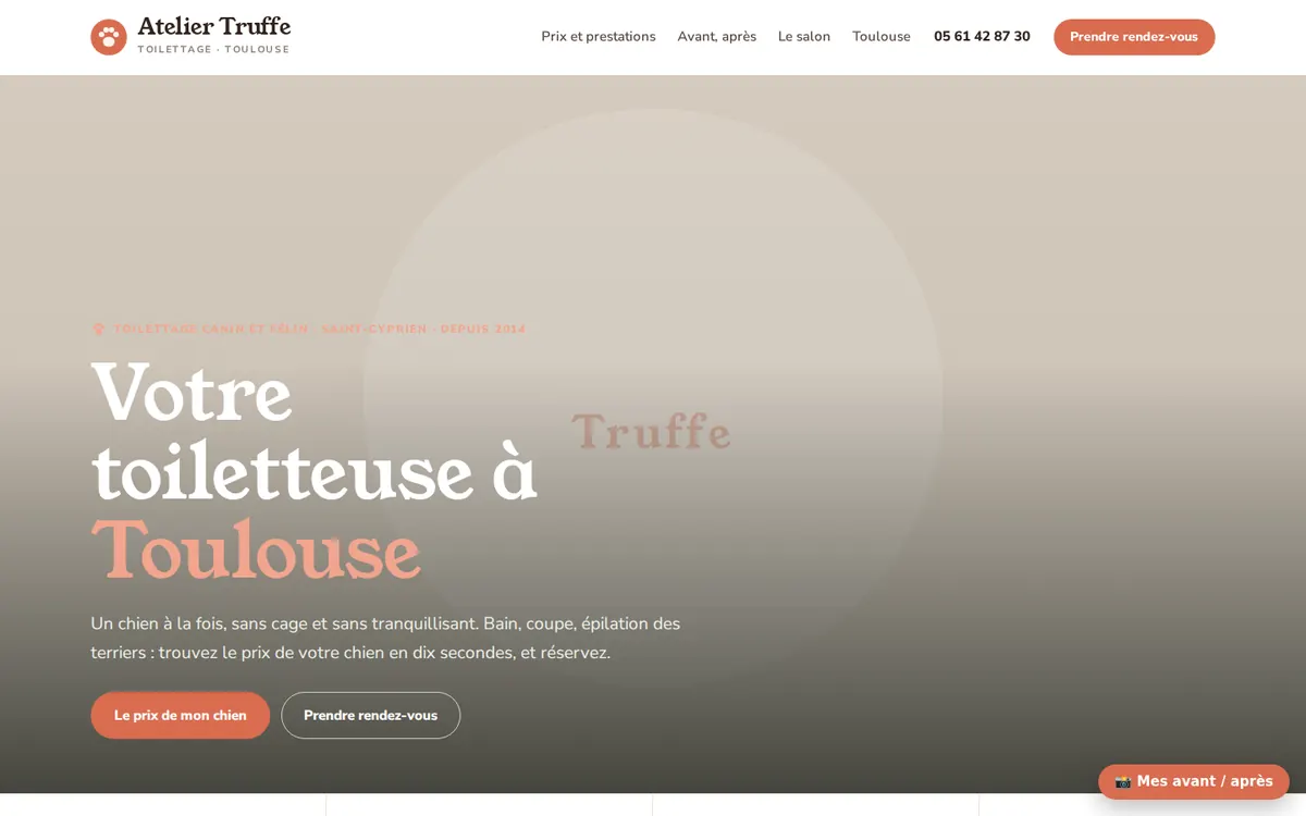 Capture du modèle de site toiletteur : page d'accueil sur ordinateur